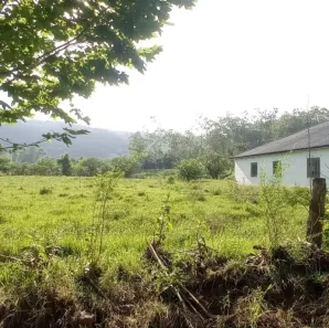 Fazenda/Sítio à venda, 19000m² no Açoita Cavalo, Rolante