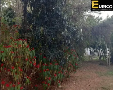 Fazenda/Sítio com 4 Quartos à venda, 10000m² no Lenheiro, Valinhos