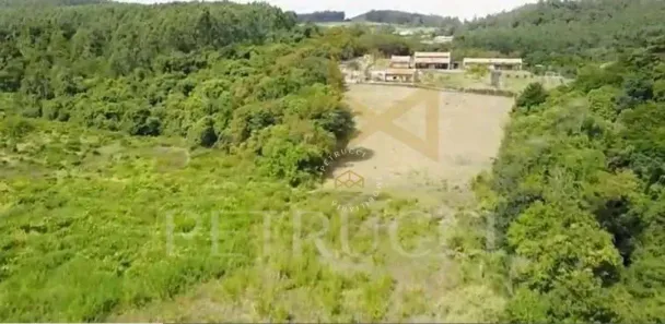 Lote/Terreno à venda, 20000m² no Jardim Martinelli (Sousas), Campinas