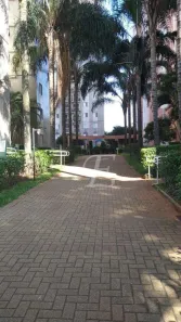 Apartamento com 3 Quartos à venda, 60m² no Cambuci, São Paulo