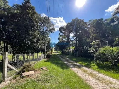Lote/Terreno à venda, 1875m² no Pedancino, Caxias do Sul