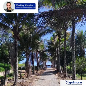 Fazenda/Sítio com 4 Quartos à venda, 146000000m² no , Itatiaiuçu
