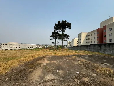 Lote/Terreno à venda, 3000m² no Jardim Amélia, Pinhais