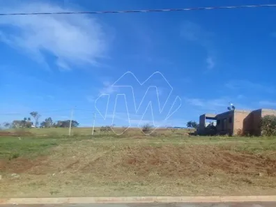 Lote/Terreno à venda, 1m² no Jardim Universal, Araraquara
