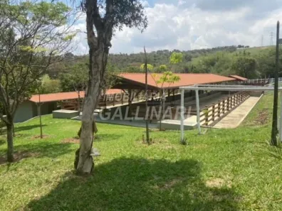 Fazenda/Sítio com 3 Quartos à venda, 180000m² no Área Rural de Cosmópolis, Cosmópolis