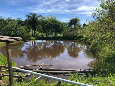 Fazenda/Sítio com 2 Quartos à venda, 64239m² no Área Rural de Amparo, Amparo