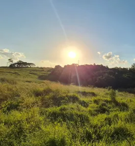 Fazenda/Sítio à venda, 24000m² no Jardim Alvorada, Monte Mor