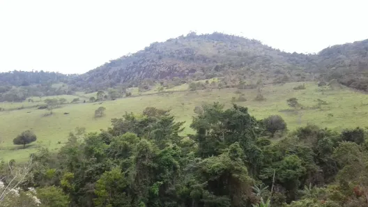 Fazenda/Sítio com 8 Quartos à venda, 1000000m² no , Ubaíra