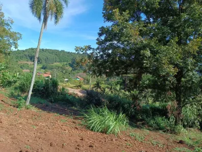 Lote/Terreno à venda, 495m² no Quatro Cantos, Picada Café