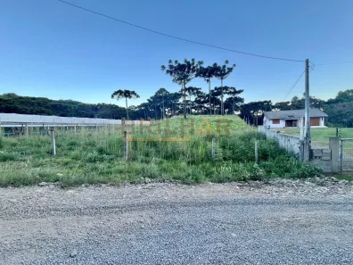 Fazenda/Sítio com 1 Quarto à venda, 2730m² no Centro, São Francisco de Paula