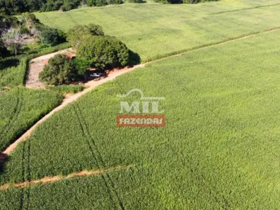 Fazenda/Sítio à venda, 856m² no , Figueirópolis