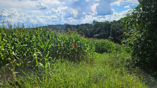 Fazenda/Sítio com 1 Quarto à venda, 36400m² no , Contenda