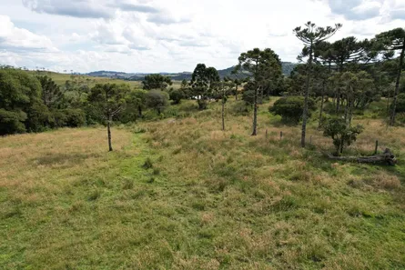 Lote/Terreno à venda, 20000m² no , Urupema
