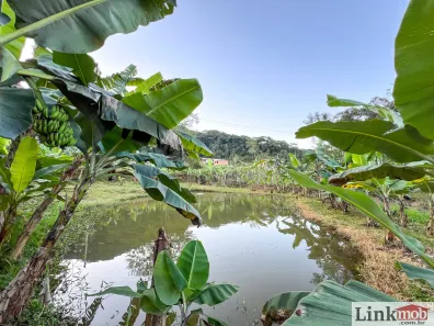 Fazenda/Sítio com 3 Quartos à venda, 3000m² no , Antonina