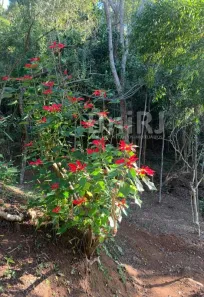 Lote/Terreno à venda, 14870m² no , Petrópolis