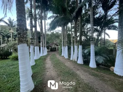 Fazenda/Sítio com 3 Quartos à venda, 6000m² no Alto Gasparinho, Gaspar