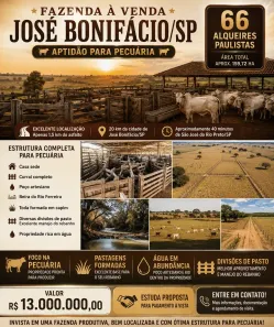Fazenda/Sítio com 3 Quartos à venda, 1597200m² no Centro, José Bonifácio