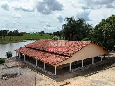 Fazenda/Sítio à venda, 500m² no , Estrela do Norte