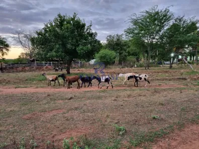 Fazenda/Sítio à venda, 2551000m² no , Santa Teresinha