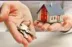 Miniatura da foto de L&L - Serviços em Adminstração De Condominios