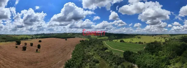 Fazenda/Sítio à venda, 10m² no Vila Santos, Echaporã
