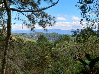 Lote/Terreno à venda, 1010m² no Cidade do Sol, Campos do Jordão