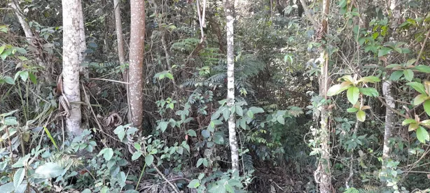 Lote/Terreno à venda, 1120m² no Caraguatá, Mairiporã