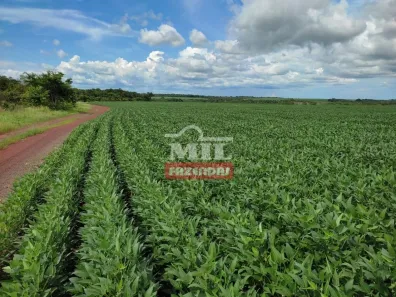 Fazenda/Sítio à venda, 2444m² no , Santa Maria do Tocantins