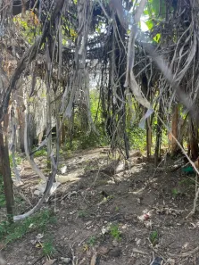 Lote/Terreno à venda, 448m² no , Vera Cruz