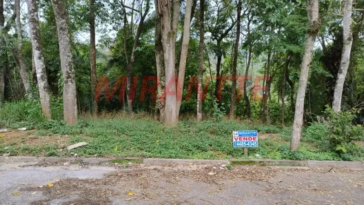 Lote/Terreno à venda, 1160m² no Caraguatá, Mairiporã