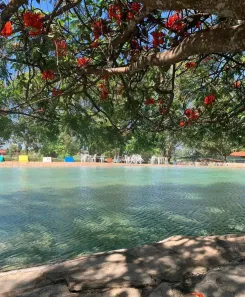 Imóvel Comercial com 5 Quartos à venda, 14000m² no Ponte Alta Norte, Brasília