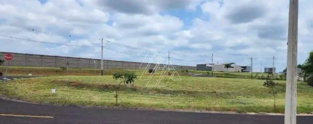 Lote/Terreno à venda, 442m² no Centro, Marília