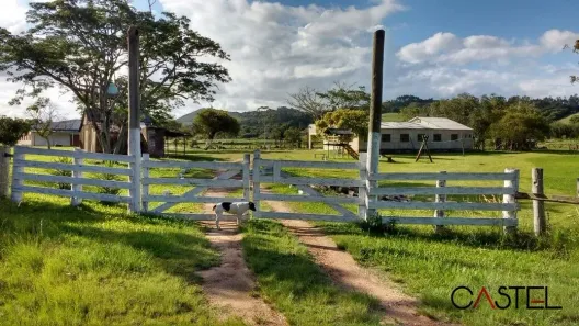 Fazenda/Sítio com 5 Quartos à venda, 10000m² no Passo Fundo, Guaíba