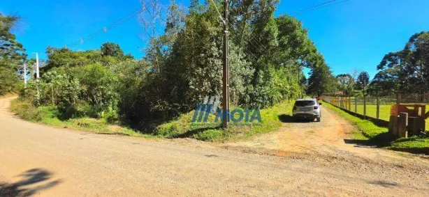 Fazenda/Sítio à venda, 7395m² no Borda do Campo, São José dos Pinhais