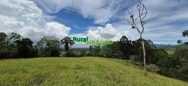 Fazenda/Sítio à venda, 22000m² no , Cunha