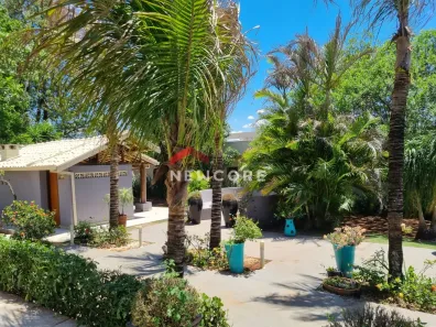 Fazenda/Sítio com 4 Quartos à venda, 450m² no Terras de Santana, Londrina