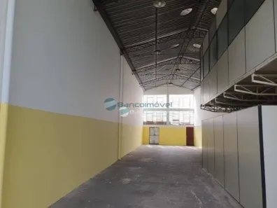 Galpão/Depósito/Armazém para alugar, 300m² no Jardim do Trevo, Campinas