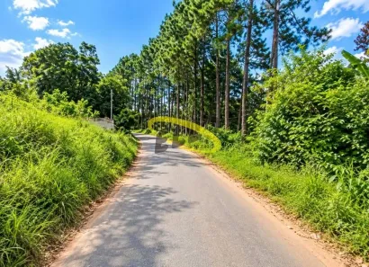 Lote/Terreno à venda, 13920m² no Jardim Arco-Íris, Cotia