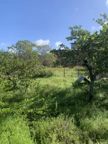 Lote/Terreno à venda, 1000m² no Pipa, Tibau do Sul