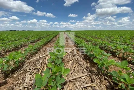 Fazenda/Sítio com 6 Quartos à venda, 582m² no Goiatins, Goiatins