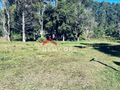 Lote/Terreno à venda, 2980m² no Centro, São Francisco de Paula