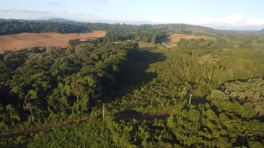 Fazenda/Sítio à venda, 44000m² no Área Rural de Almirante Tamandaré, Almirante Tamandaré