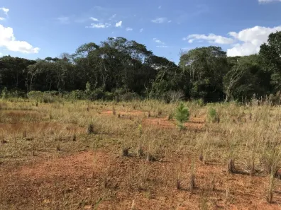 Lote/Terreno à venda, 15000m² no Porto Grande, Araquari