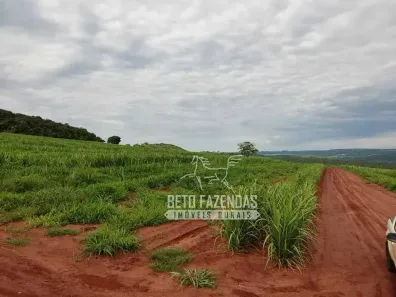 Fazenda/Sítio à venda, 7356800m² no Área Rural de Ribeirão Preto, Ribeirão Preto