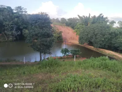 Fazenda/Sítio à venda, 710000m² no Área Rural de Unaí, Unaí