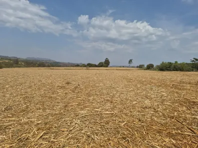Fazenda/Sítio com 3 Quartos à venda, 242000m² no , Altinópolis