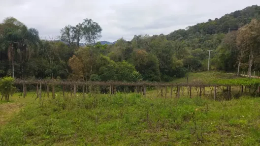 Fazenda/Sítio à venda, 85000m² no , Campo Magro