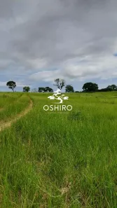 Fazenda/Sítio à venda, 12390000m² no , Torixoréu