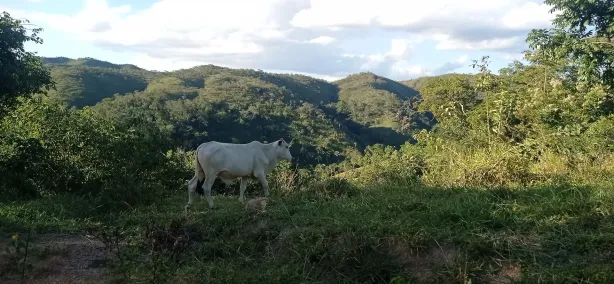 Fazenda/Sítio com 3 Quartos à venda, 142000000m² no Setor Habitacional Fercal, Brasília