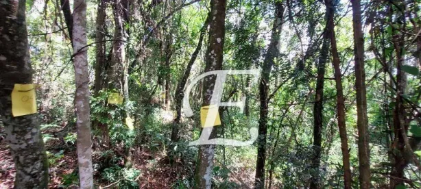 Lote/Terreno à venda, 1695m² no Caraguatá, Mairiporã